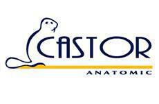Castor Anatomic